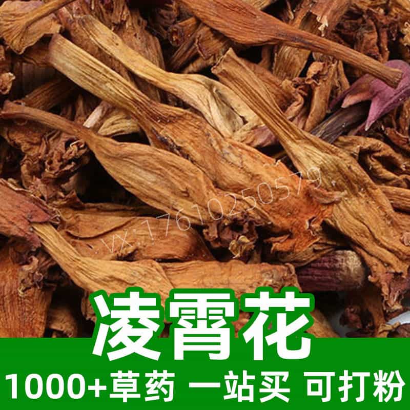 Chinese Trumpetcreeper Flower
