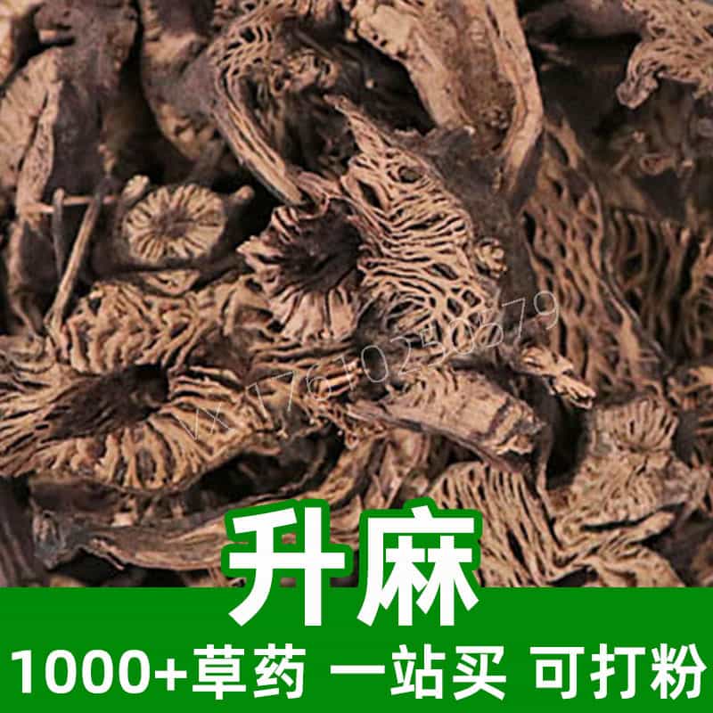 Skunk Bugbane Rhizome