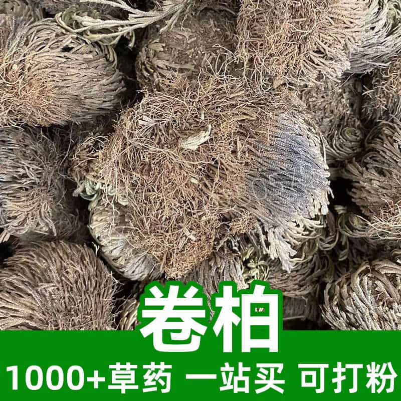 Tamarisklike Spikemoss Herb