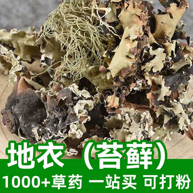 Lichen (Moss)
