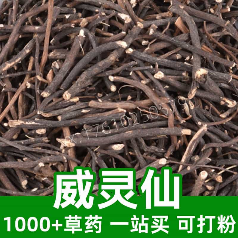 Chinese Clematis