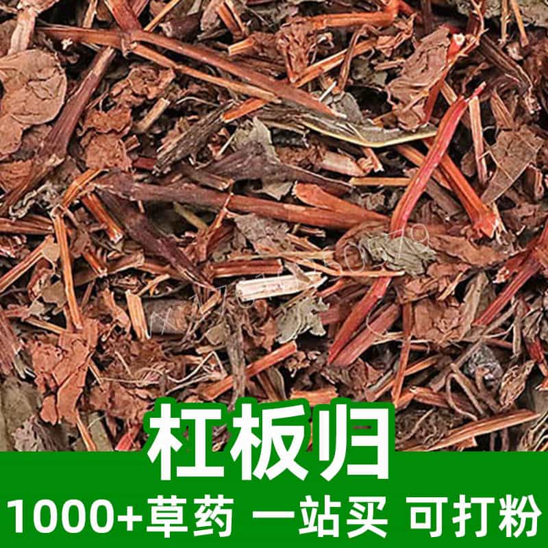 Polygonum perfoliatum