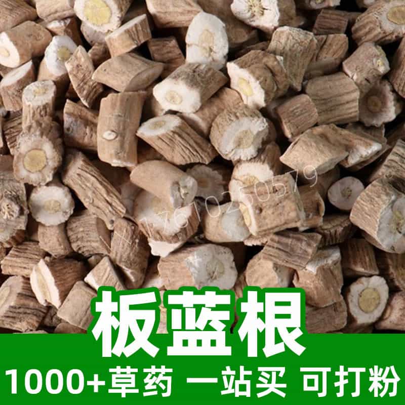 Indigowoad Root