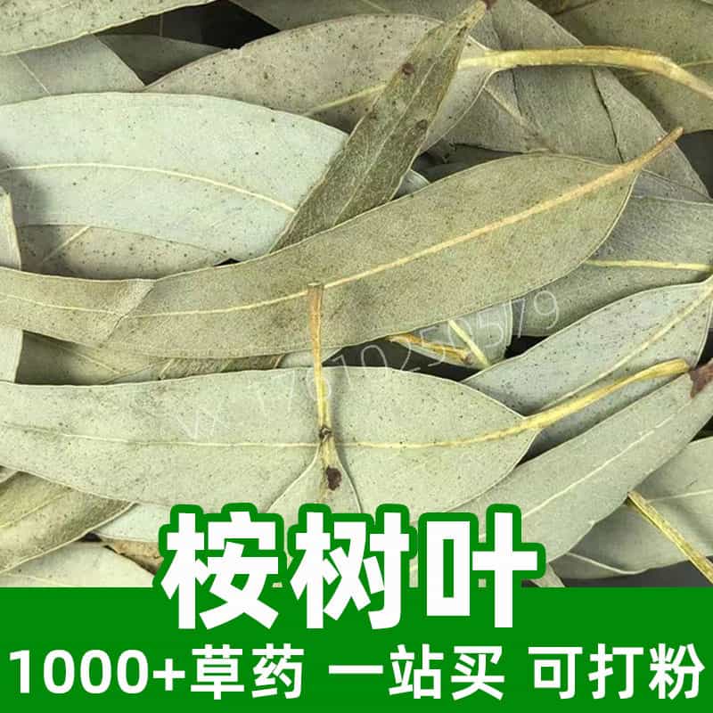 Eucalyptus Leaves