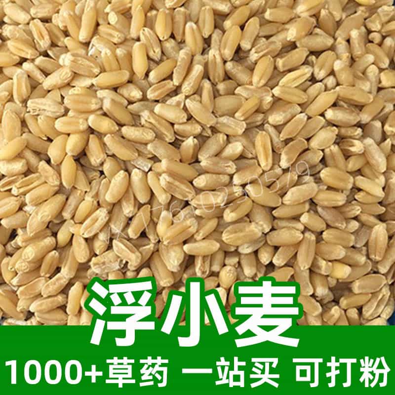Floating Wheat