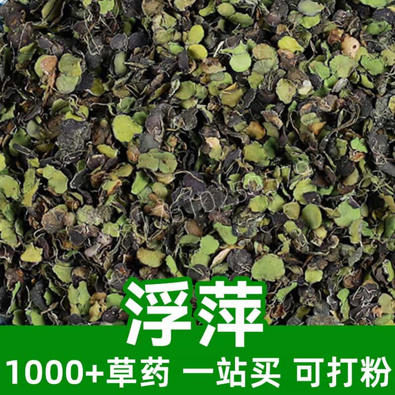 Duckweed
