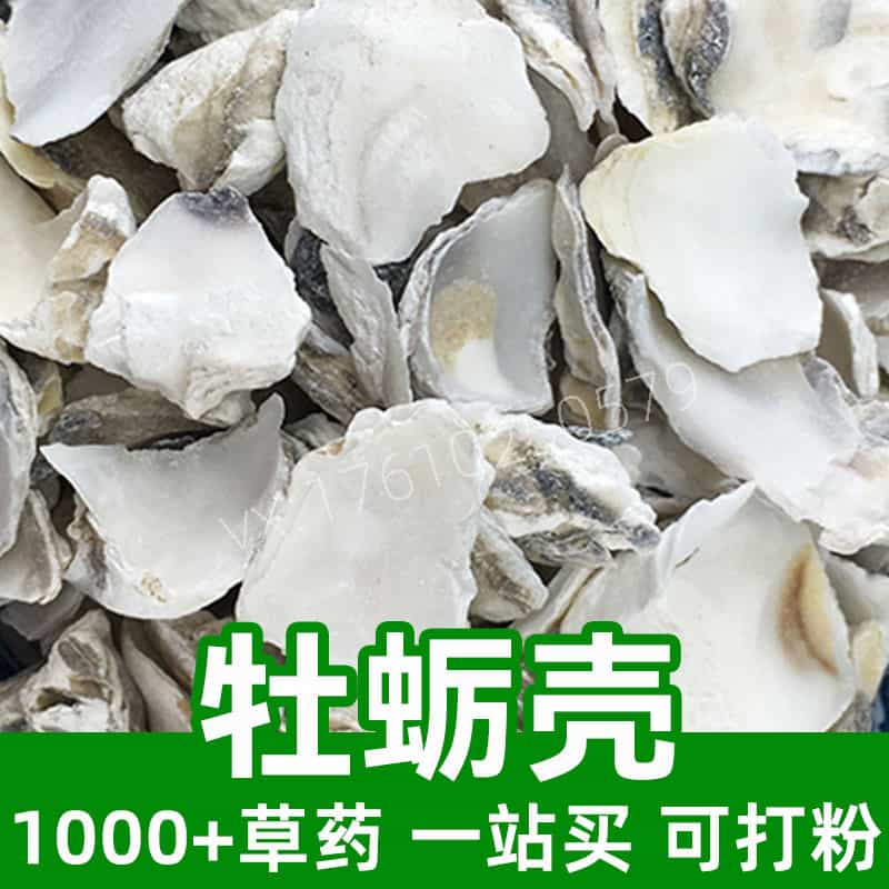 Oyster Shell