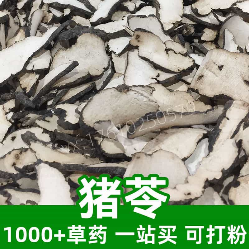 Polyporus