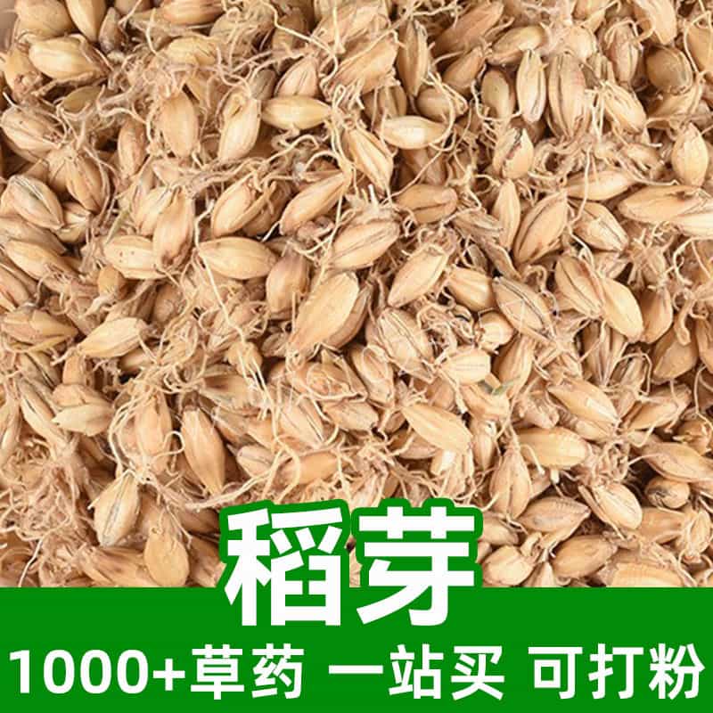 Rice Sprout