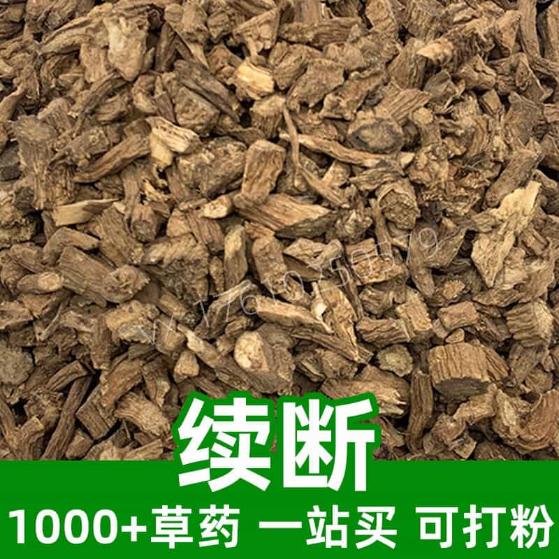 Himalayan Teasel Root