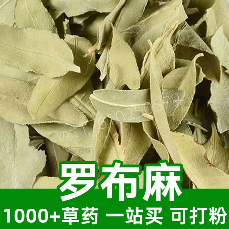 Apocynum Venetum Tea