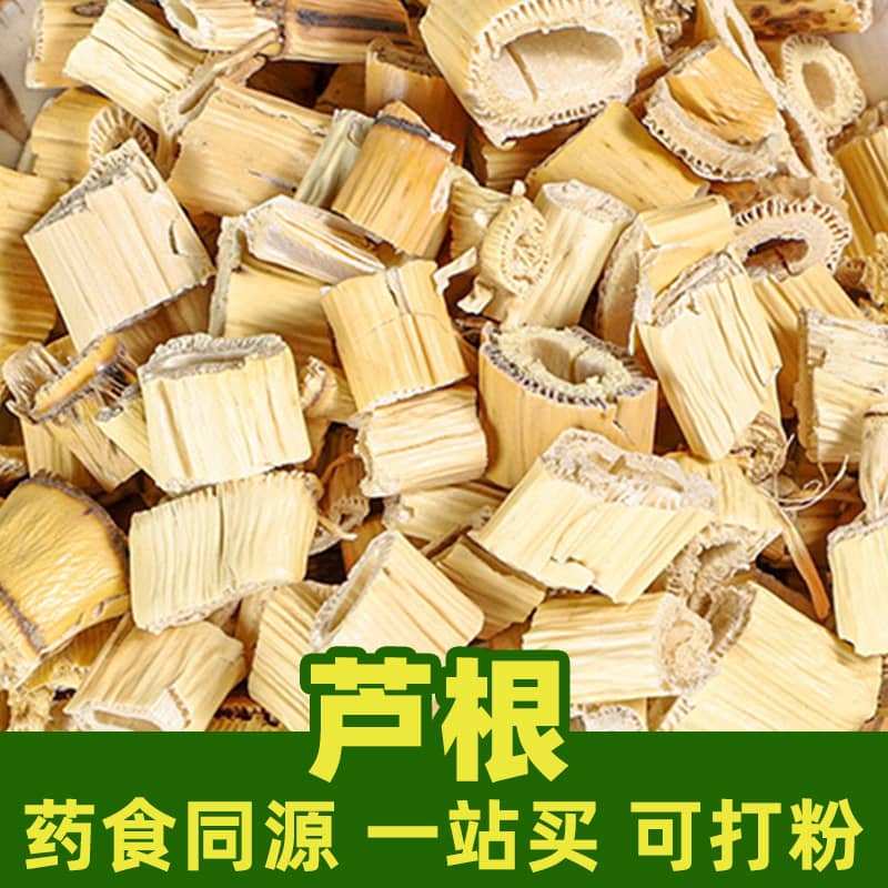 Reed Root