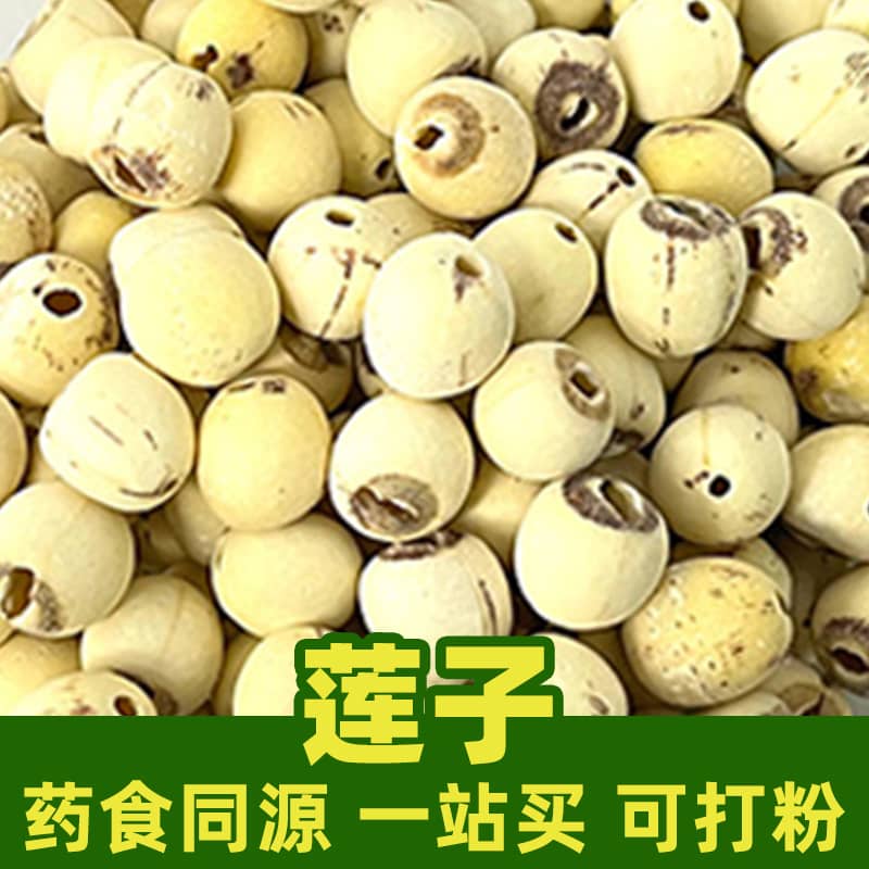 Lotus Seed