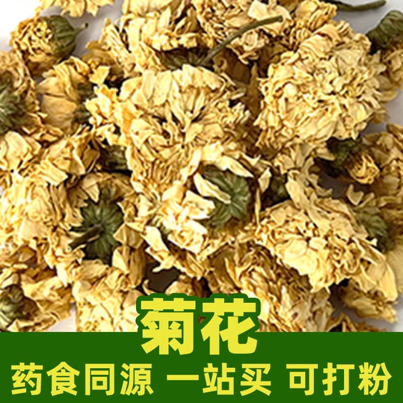 Chrysanthemum-Cornflower Silk