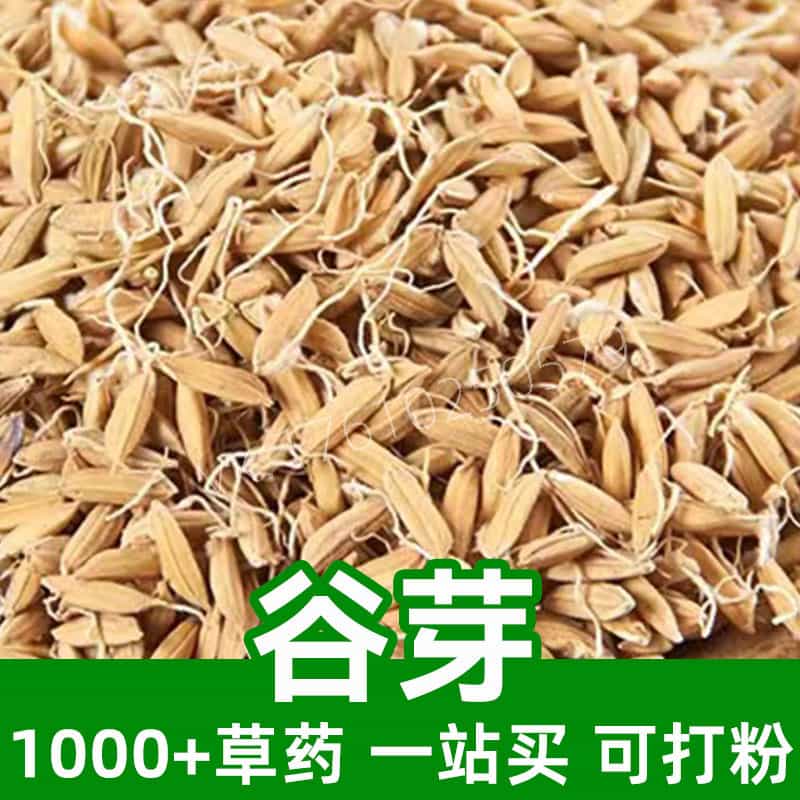 Millet Sprout