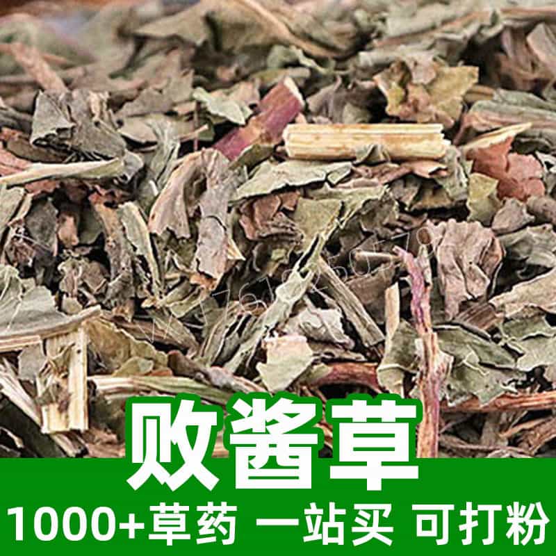 Herba Patriniae