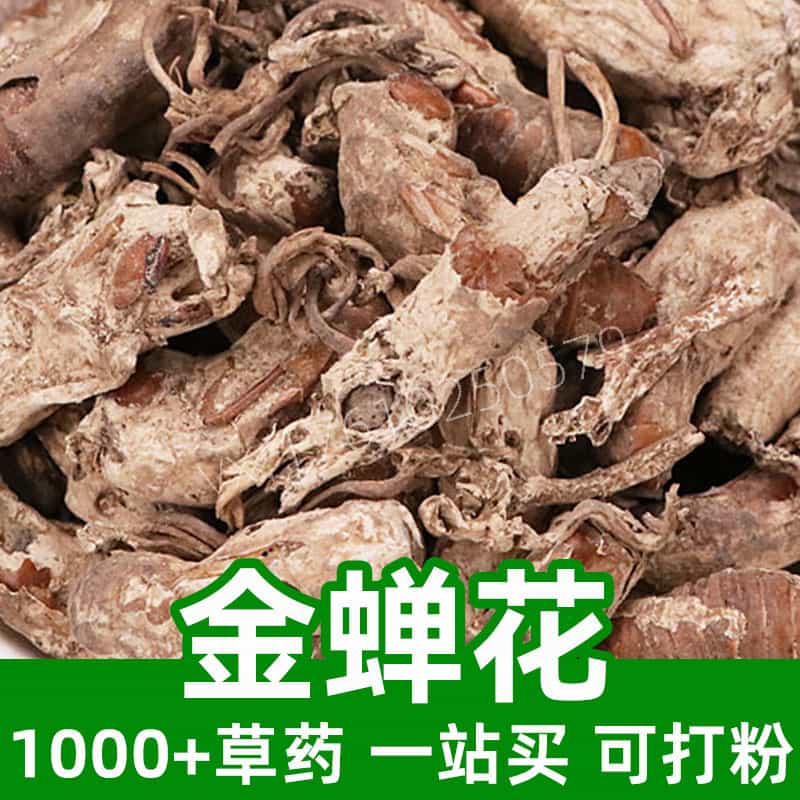 Cordyceps Sobolifera