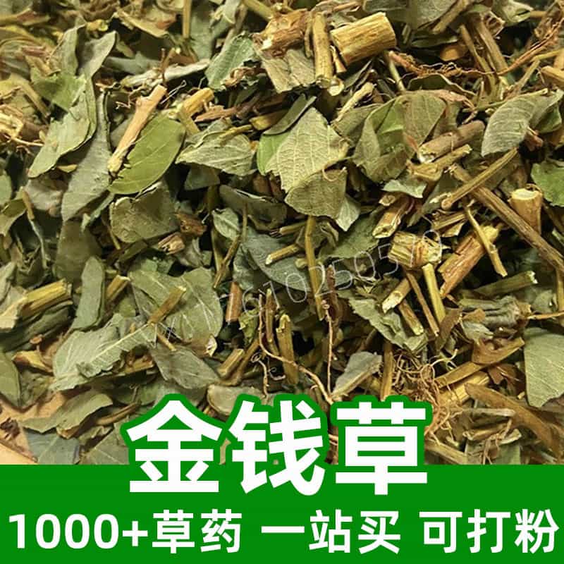 Longhairy Antenoron Herb