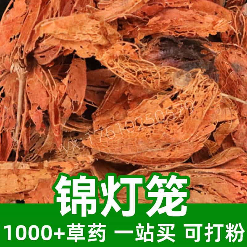 Franchet Groundcherry Fruit