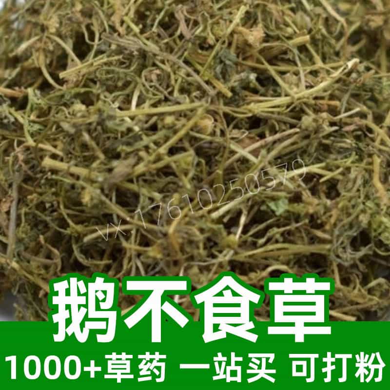 Small Centipeda Herb