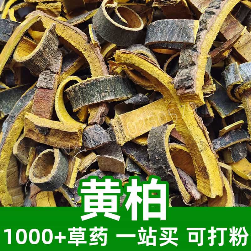 Amur Corktree Bark