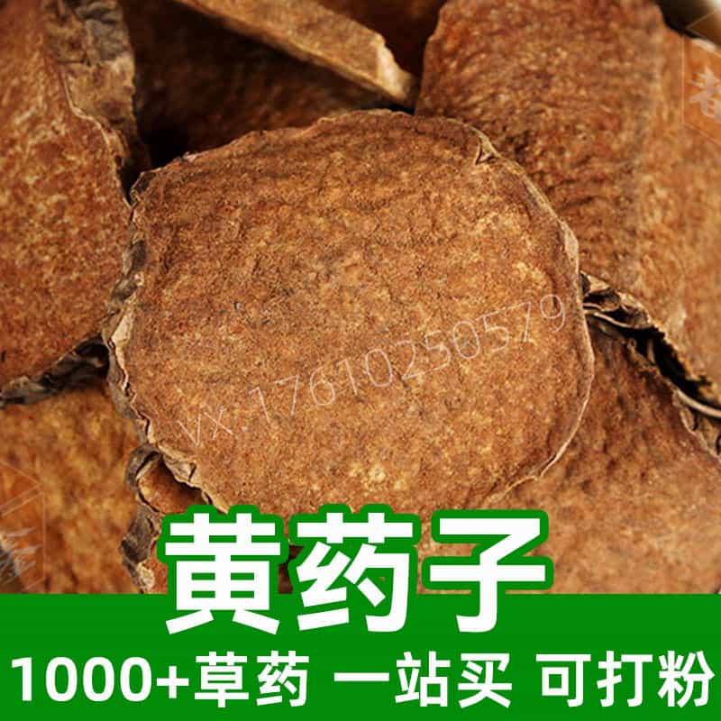 Rhizoma Dioscoreae Bulbiferae