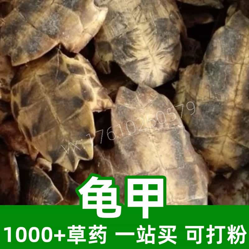 Tortoise Shell