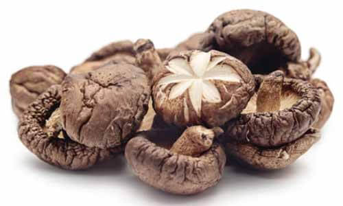 Shiitake Mushroom