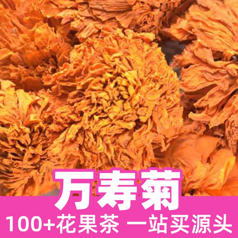 Tagetes Erecta