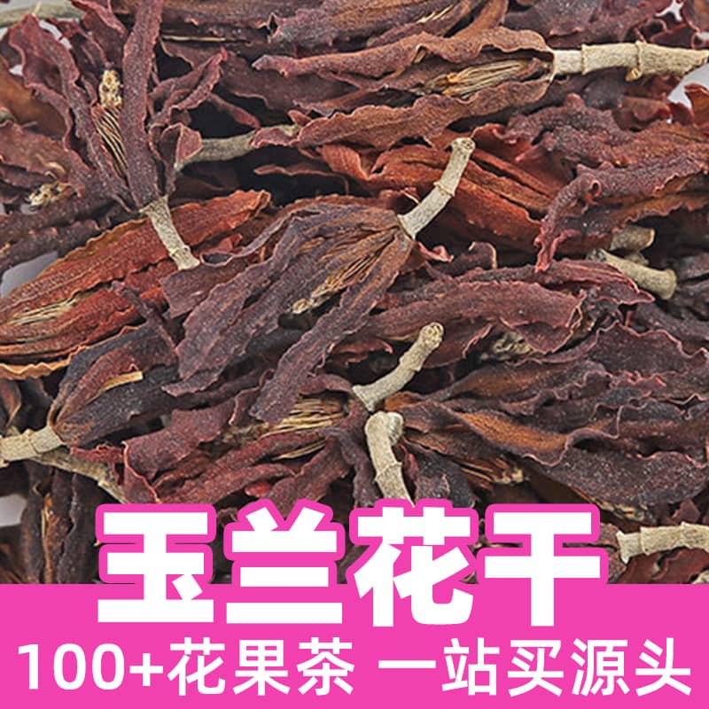 Dried Magnolia Flowers