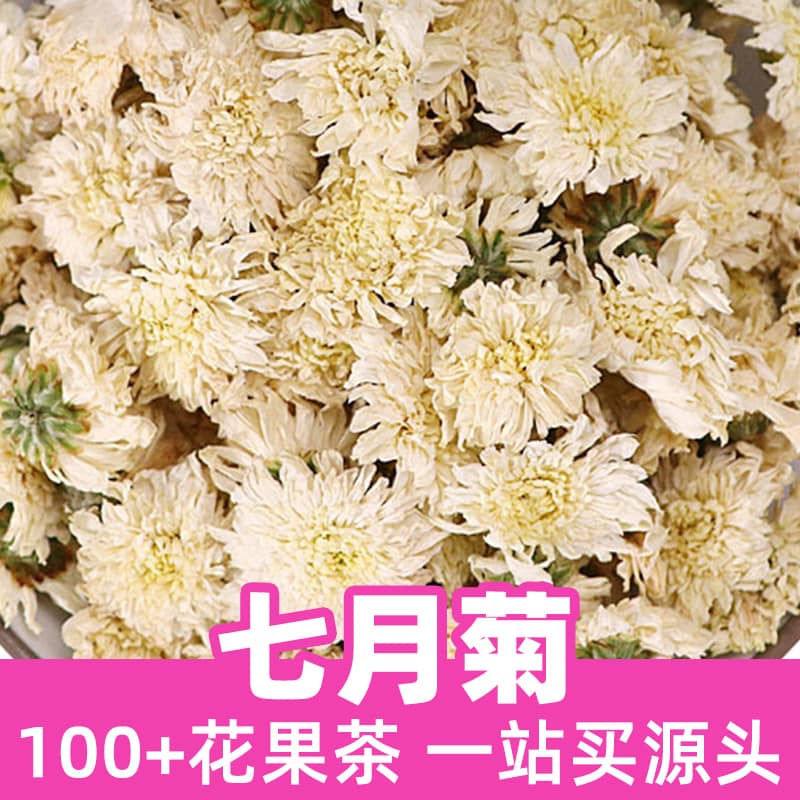 July Chrysanthemum